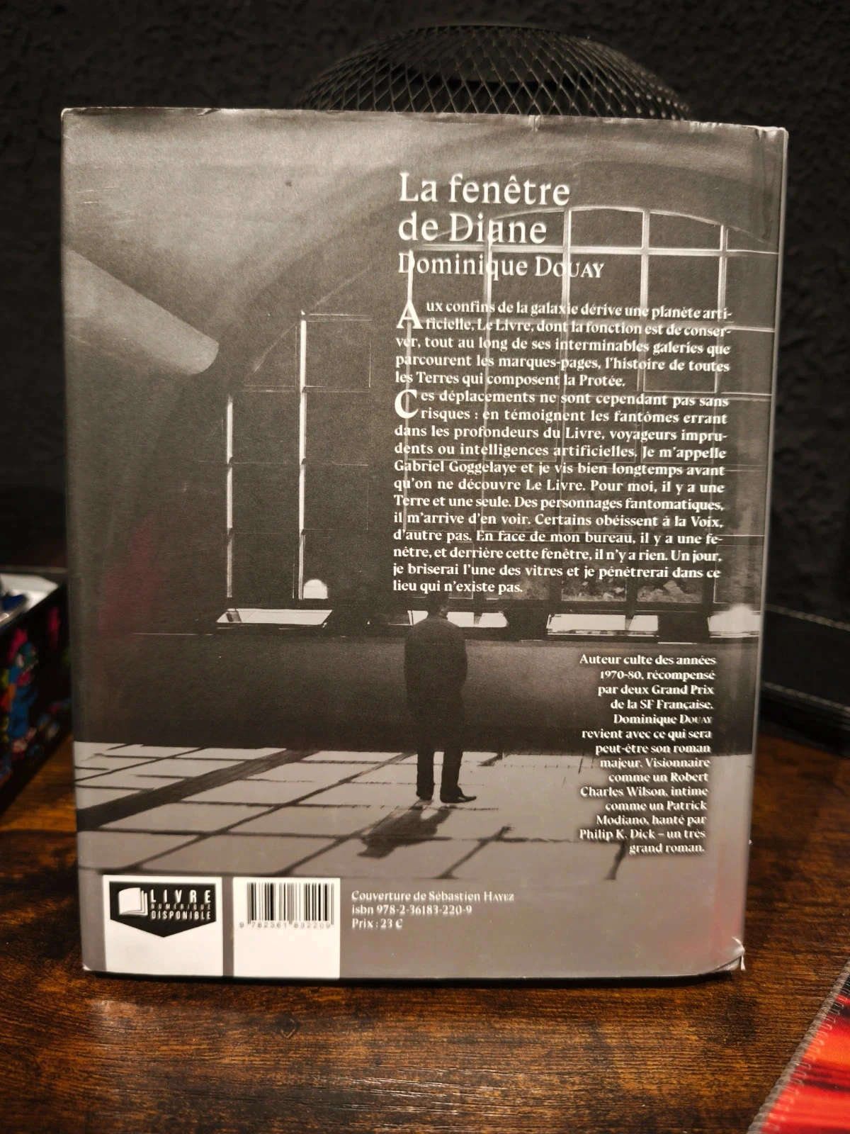 La ventana de Diane – photo 2